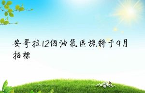 安哥拉12个油气区块将于9月招标
