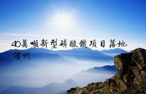 40万吨新型磷酸铁项目落地滨州